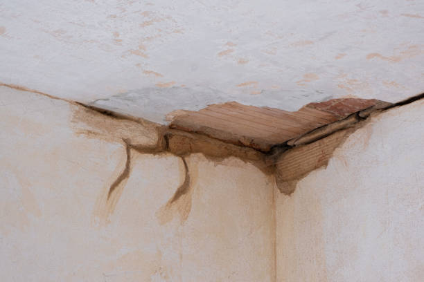 Best Water damage contractors near me  in Grove Hill, AL