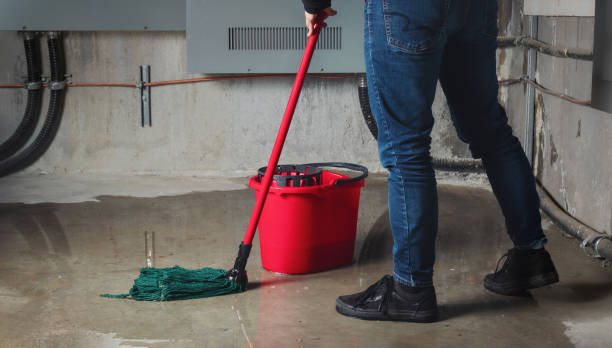  Grove Hill, AL Water damage restoration Pros
