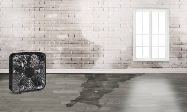 Best 24/7 water damage repair  in Grove Hill, AL