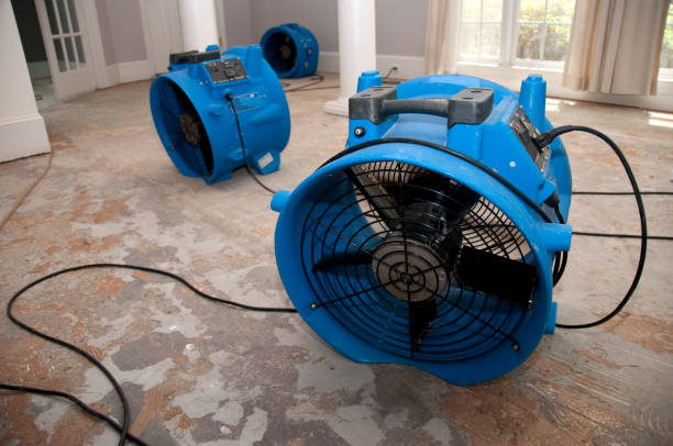 Best Fire Damage Restoration  in Grove Hill, AL