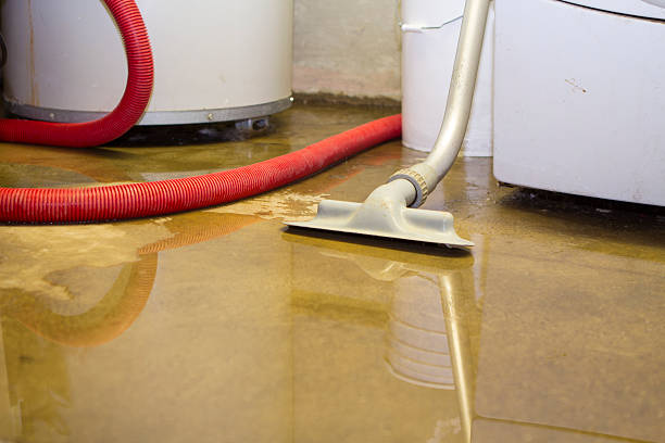 Best Local water damage restoration  in Grove Hill, AL