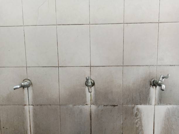  Grove Hill, AL Water damage restoration Pros