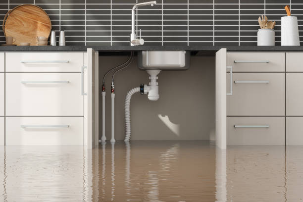 Best Water damage restoration near me  in Grove Hill, AL