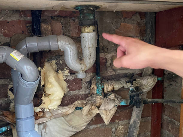 Best Basement water damage restoration  in Grove Hill, AL