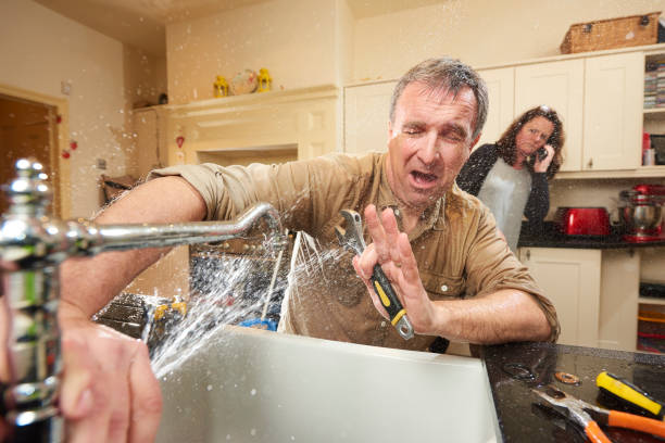 Best Professional water damage repair  in Grove Hill, AL